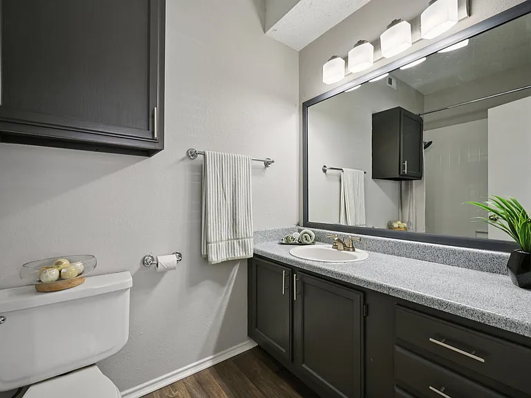 Spring Pointe — Photo 15