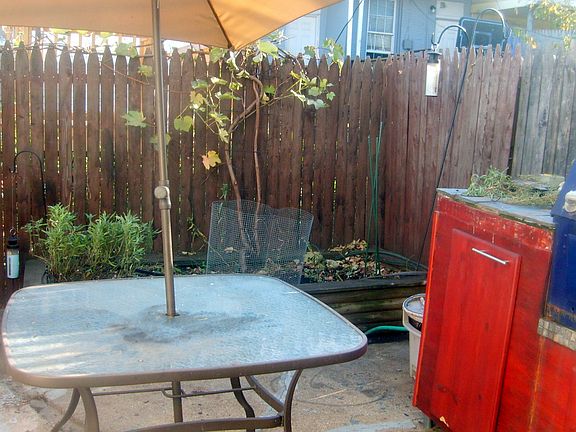 Back patio, Barbeque Grill
