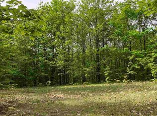 4345 Mountainview Trl, Boyne Falls, MI 49713