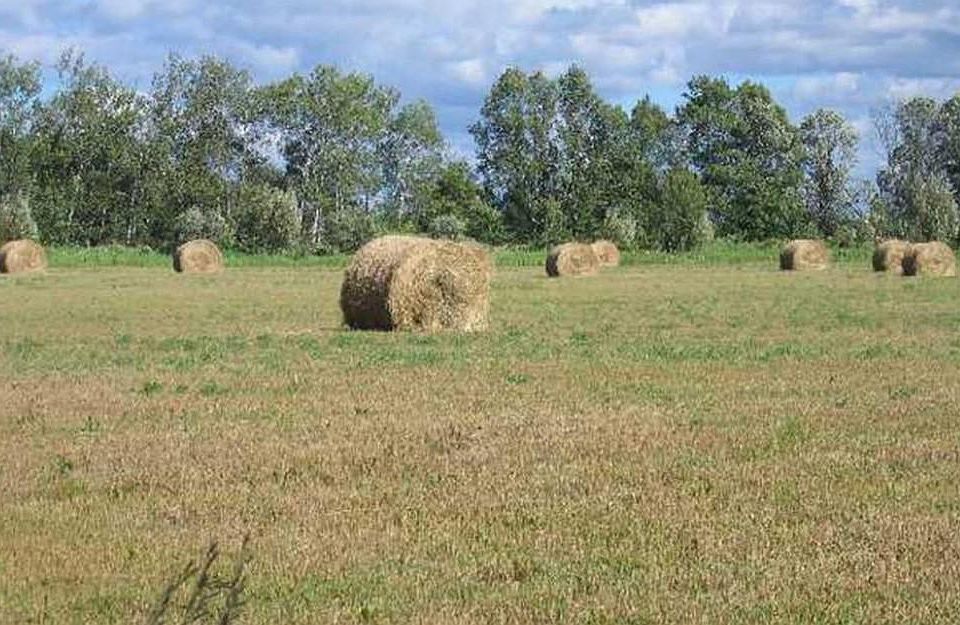 1st image of Xxx Highway 107 Pokegama Twp