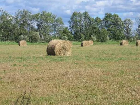 Xxx Highway 107 Pokegama Twp, Grasston, MN 55030