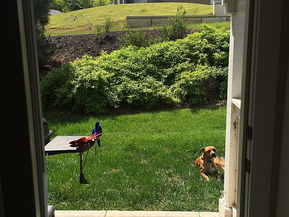 Green Space/Back Patio