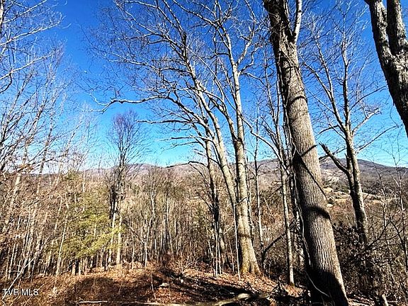 3rd image of Tbd Vilas Overlook Dr