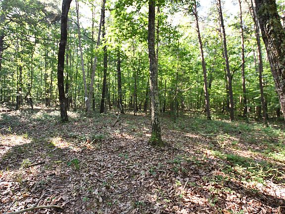 3rd image of 0 Timberwood Trce Lot 340
