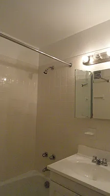 Rented by Manhattan Flats | media 16