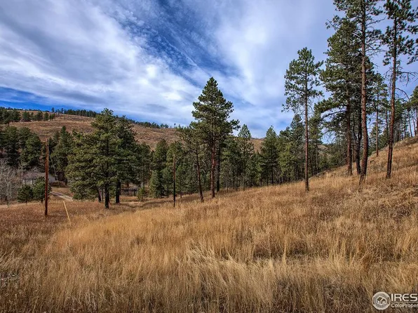 620 Davis Ranch Rd, Bellvue, CO 80512