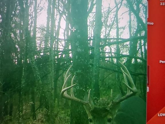 5th image of Cane Run Rd