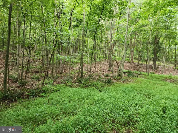LOT Knotty Pine Ln, Newport, PA 17074