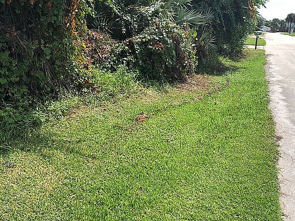 Nice neighborhood