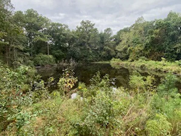 239 Bob Dixon Ln, Cairo, GA 39828