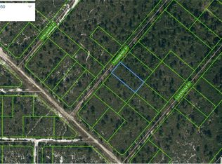 607 Thornberry St, Lake Placid, FL 33852