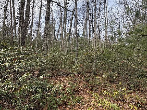 5th image of Bennett Road