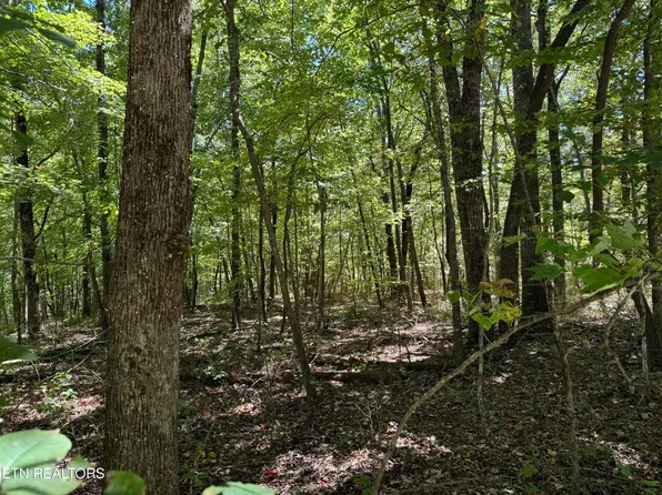 Goosepond Rd, Monterey, TN 38574