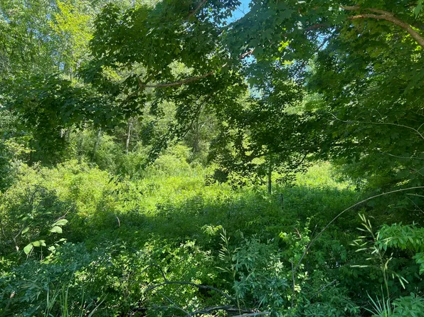 Vl N 72nd Ave, Hart, MI 49420