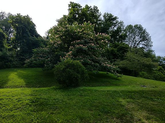 3rd image of 336 Rolling Hills Dr