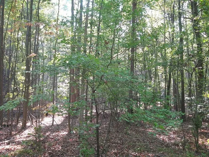 18127 Osprey Rd photo 1