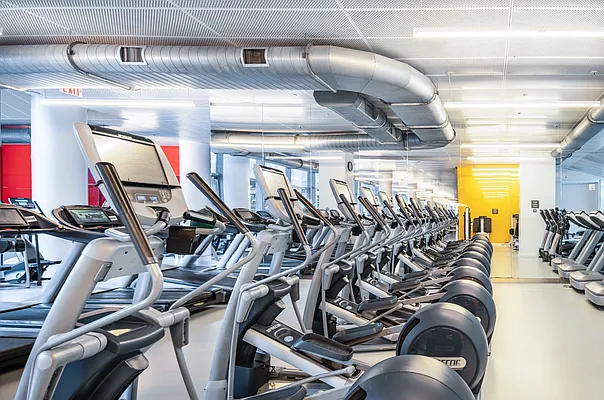 Rented by Platinum Properties | media 22