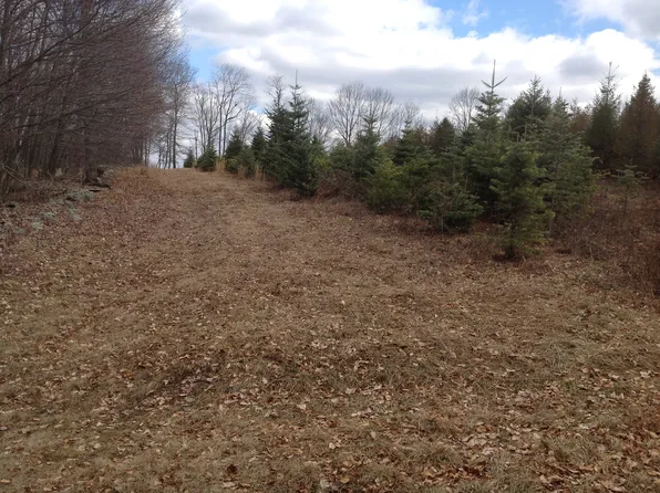 Campbell Rd, Benton, PA 17814