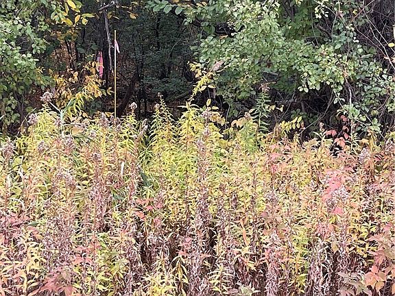 3rd image of Lot 19 153rd Street