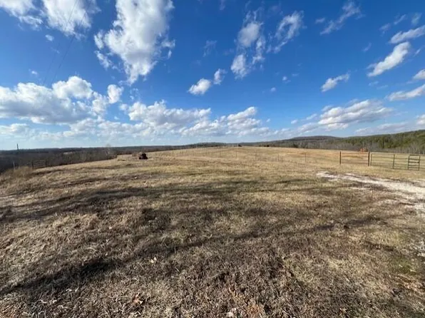 000 County Road 262 #Tbd, Vanzant, MO 65768