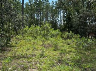 SW 166th Court Rd LOT 17, Ocala, FL 34481