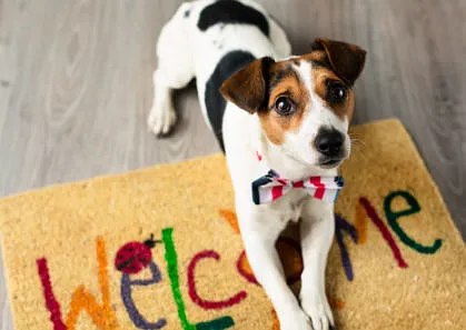Pet Friendly Community