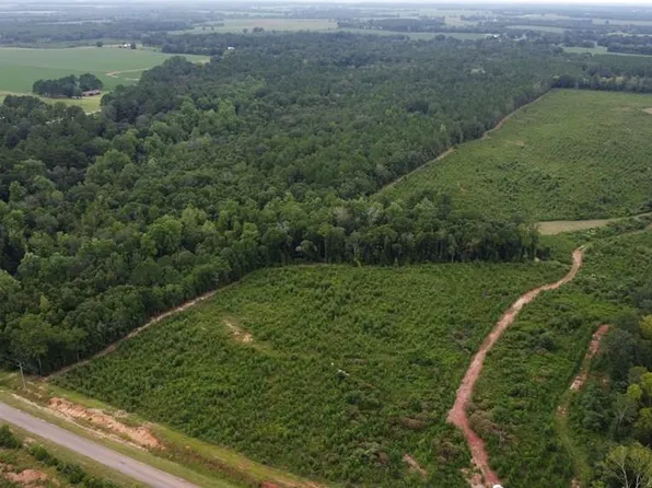 0 County Road 77, Columbia, AL 36319