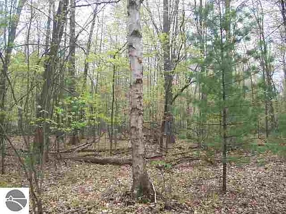 2nd image of 0 E West Branch Rd
