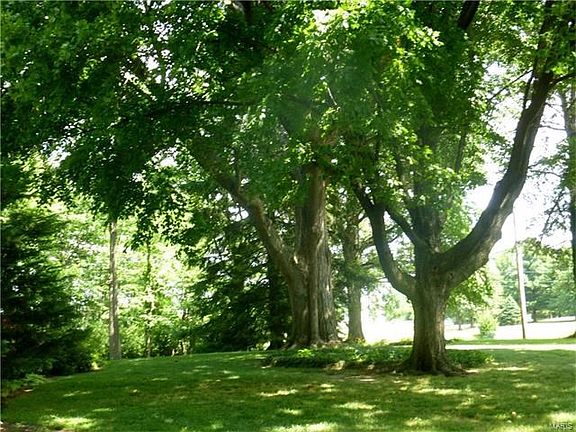 Mature trees provide a natural shade canopy in the front yard.