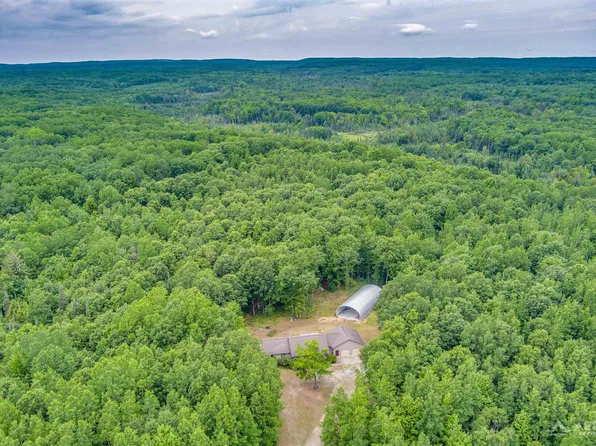 4685 Johnson Dr, South Branch, MI 48761