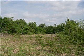 4th image of 16550 Chapel Hill Ct