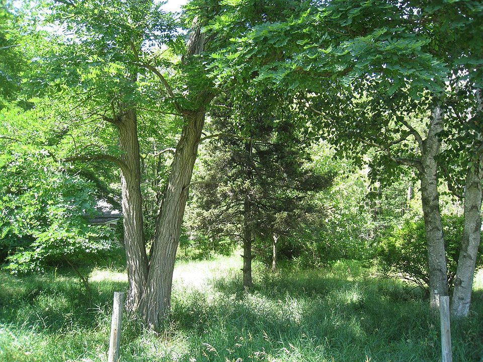 2nd image of 9050 Lime Kiln Rd