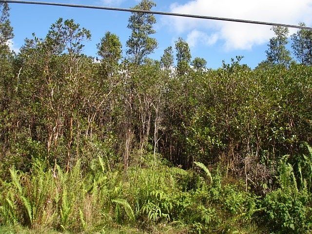 1st image of LOT 6881st