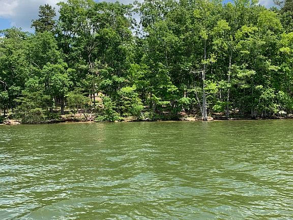 2nd image of 2330 Rocky Cove Ln