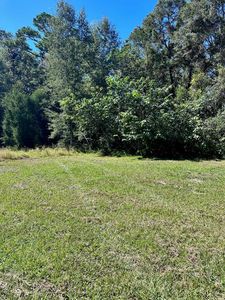 0 SE Hwy 349, Old Town, FL, 32680