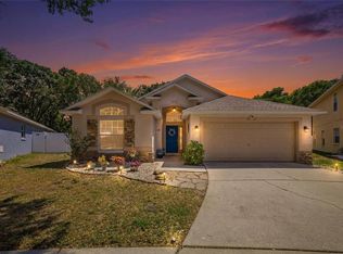 7113 Colony Pointe Dr, Riverview, FL 33578