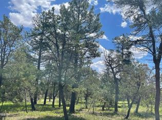 2862 Buck Cir LOT 397, Overgaard, AZ 85933