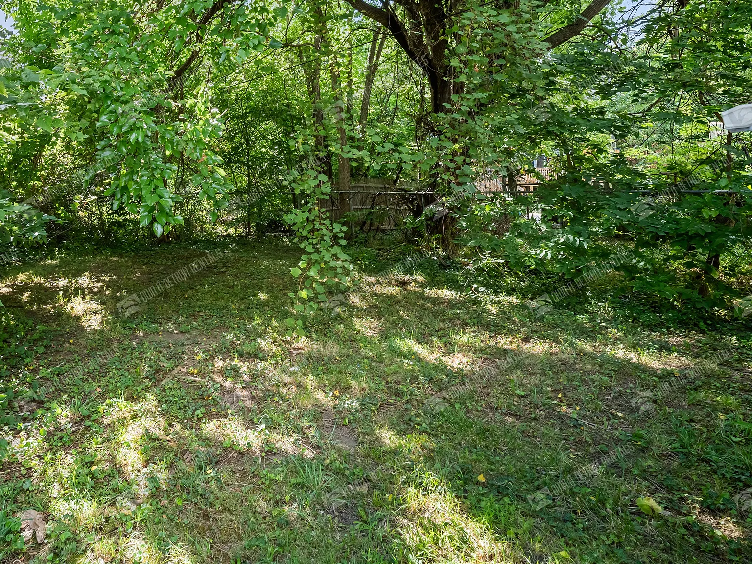 House - Ranch — Photo 3