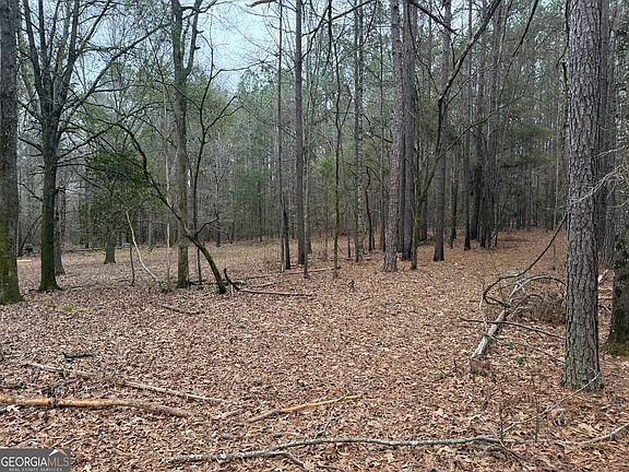3rd image of 0 Bagwell Rd