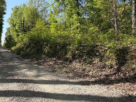2nd image of 0 Straight Line Rd