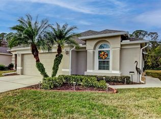 5233 Gato Del Sol Cir, Wesley Chapel, FL 33544
