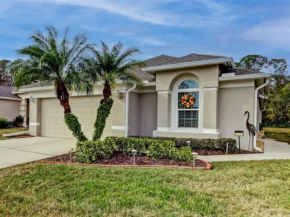 5233 Gato Del Sol Cir, Wesley Chapel, FL 33544