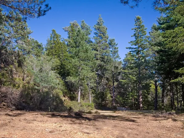 46109 Fish Rock Road, Gualala, CA 95445