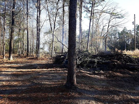 Land clearing in progress