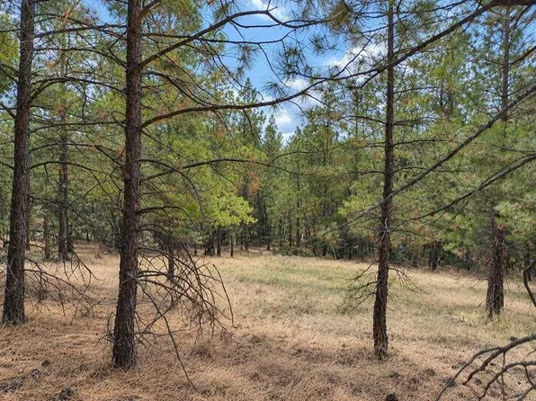 Nka Ponderosa Way, Kettle Falls, WA 99141