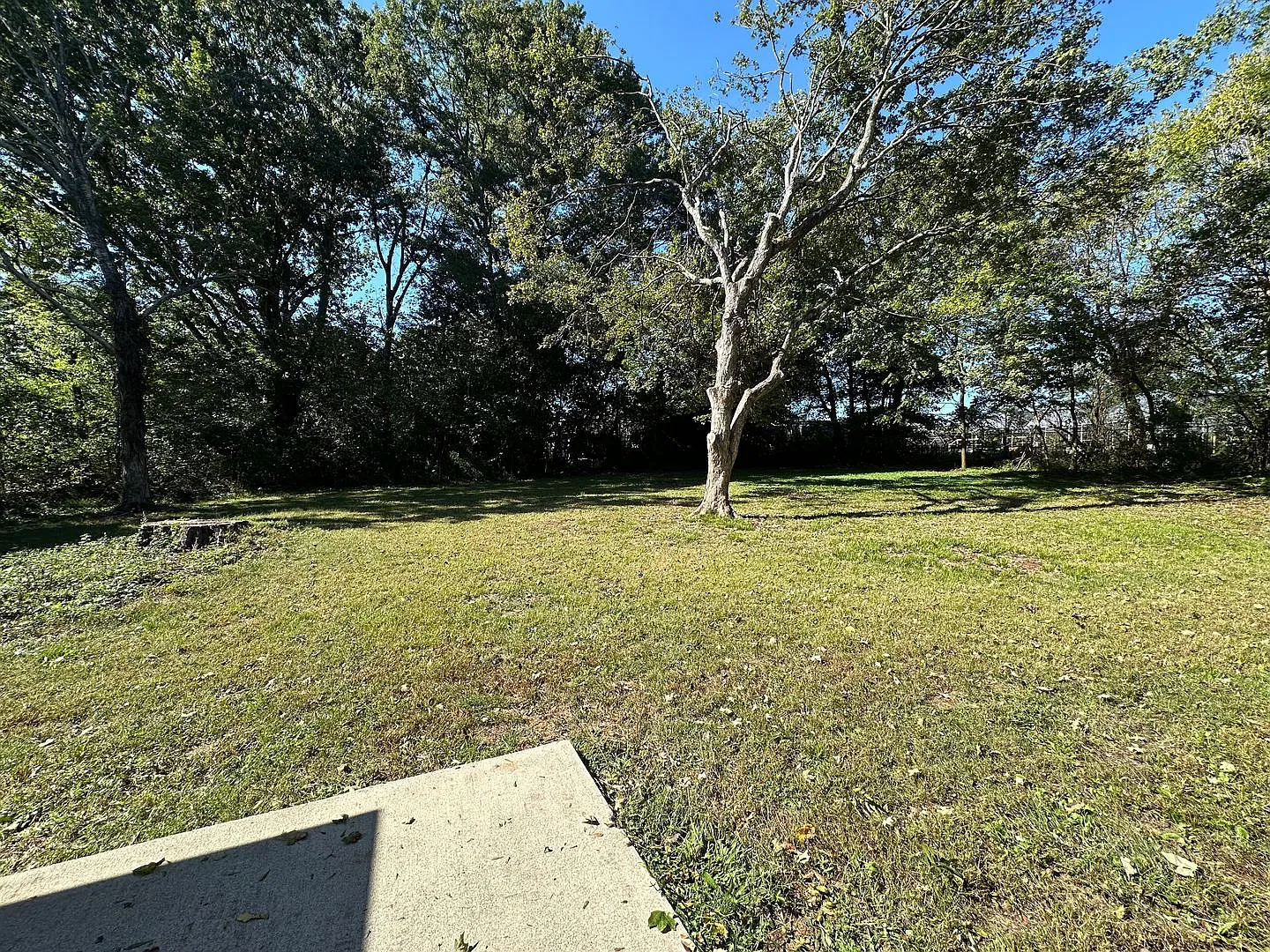 771 Prince Ter. — Photo 2