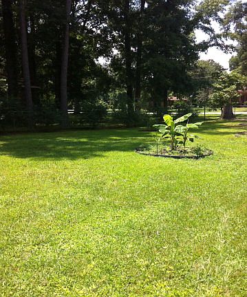 3rd image of 400 Sherwood Ave