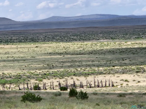 Dometrio Creek Rd, Quemado, NM 87829