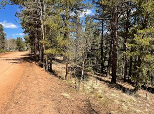 444 Timber Ridge Dr, Divide, CO 80814