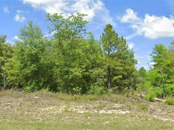 6603 N BEDSTROW BOULEVARD LOT 24, CITRUS SPRINGS, FL 34434